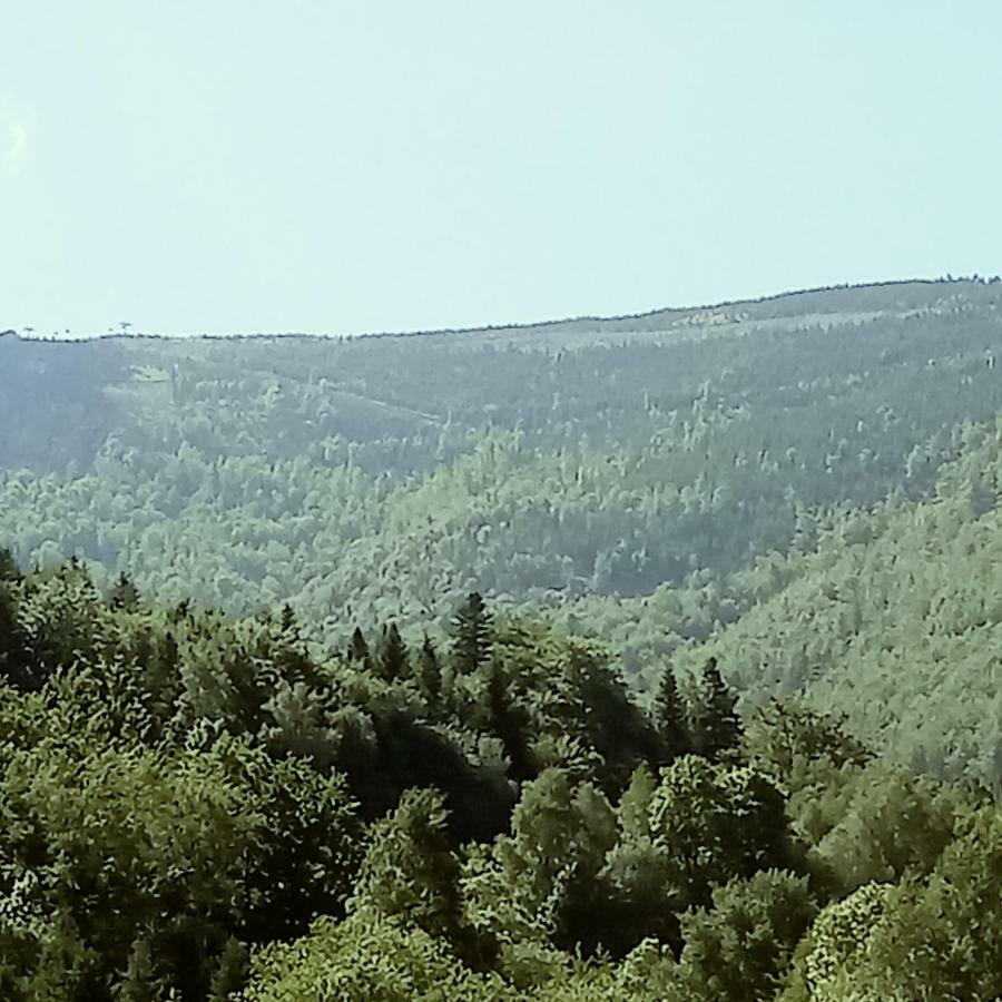 Olimpijska Ubytování v soukromí *